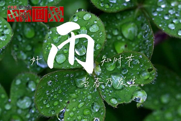 世界讀書日 把詩詞春天寫進春天里